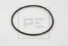 PE Automotive 011.376-00A Seal Ring